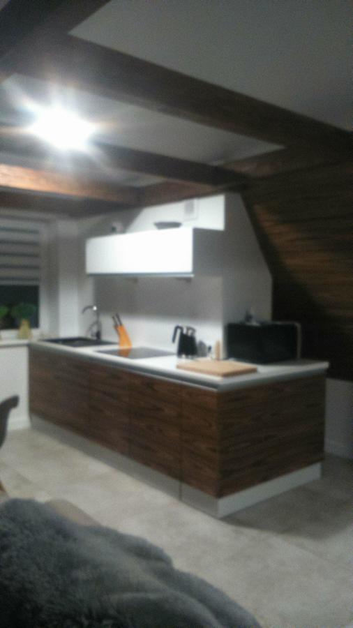 Apartament Palisander Kościelisko Exteriér fotografie
